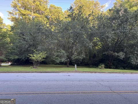 LAND - Hampton, GA