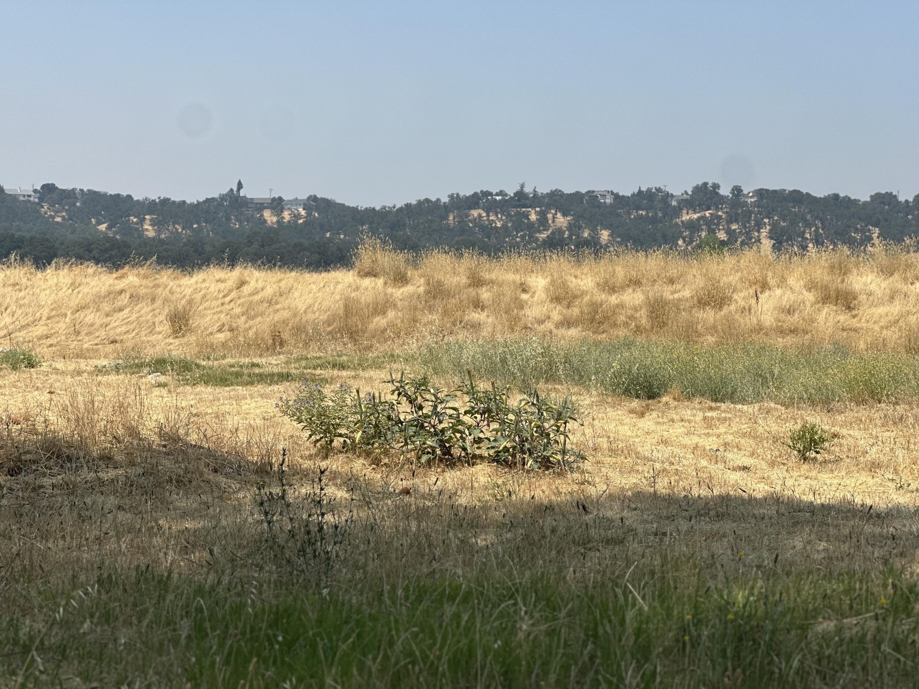 Buildable Lot in Gated Community