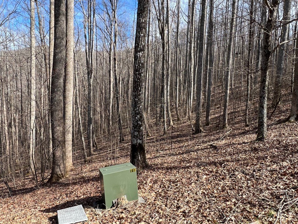 Picture 17