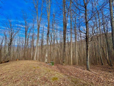 Mountain View Residential Land