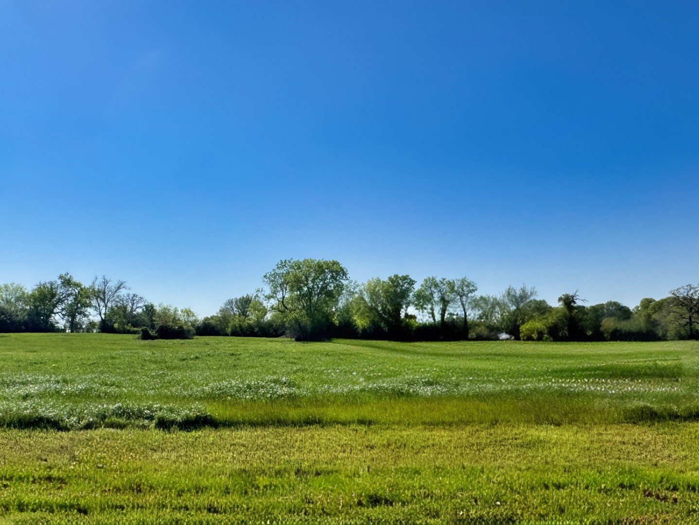 Residential Land in Iola, TX