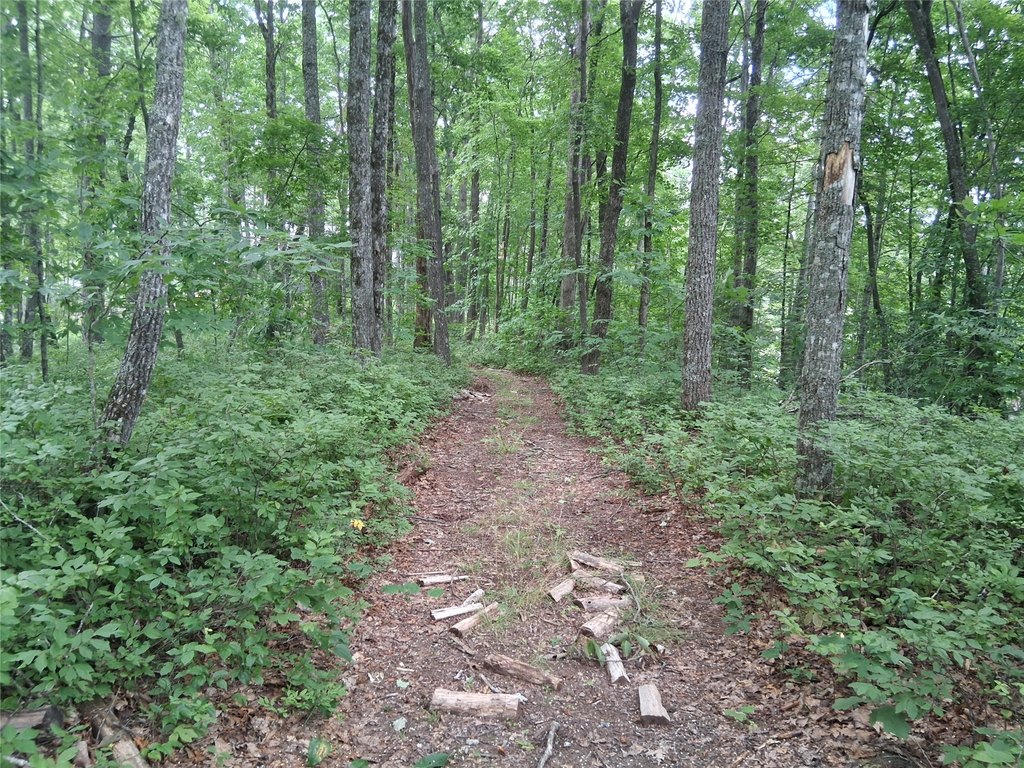 Picture 7