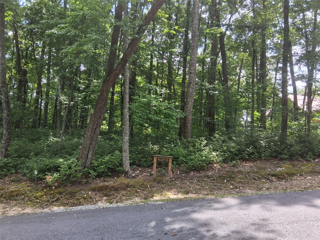 Picture 4