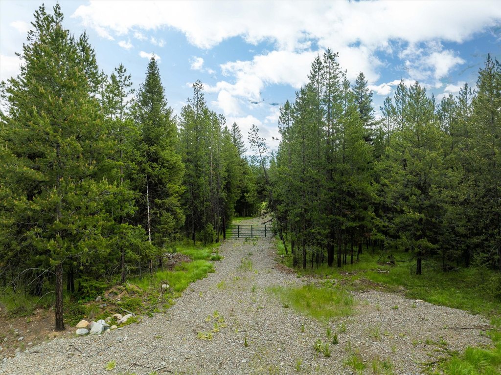 Picture 27