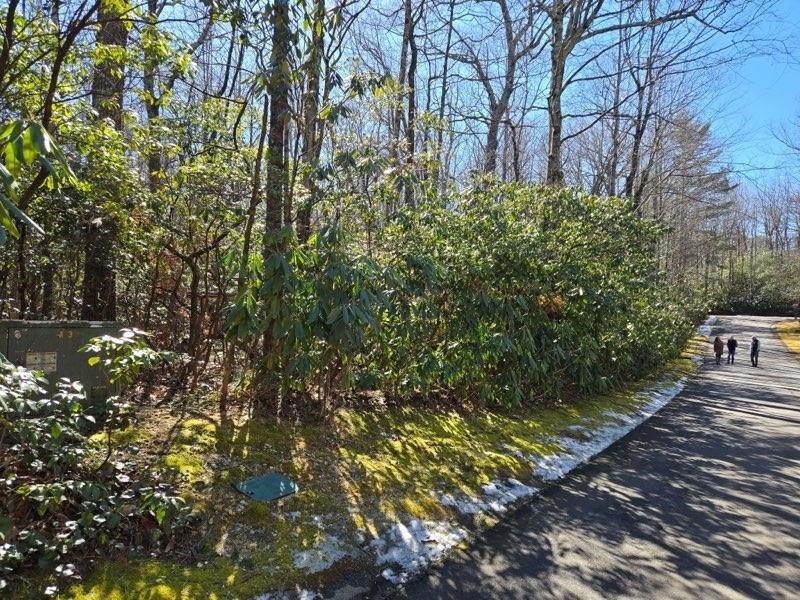 Picture 3