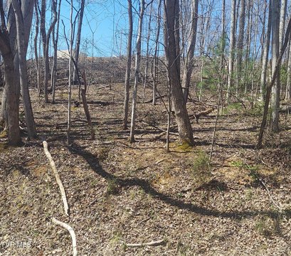 Land in Growing Unicoi Area