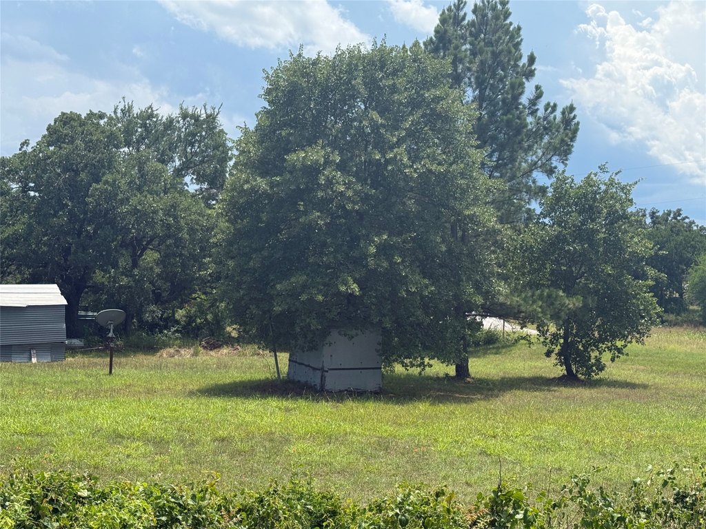 Picture 3