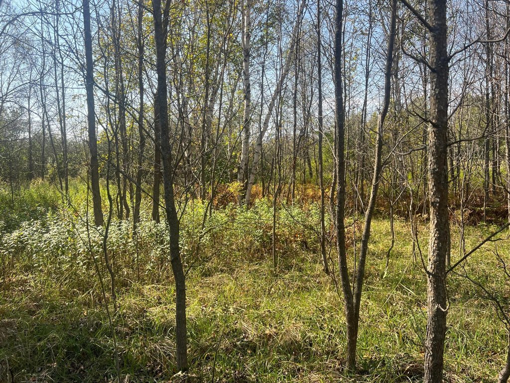 Picture 12
