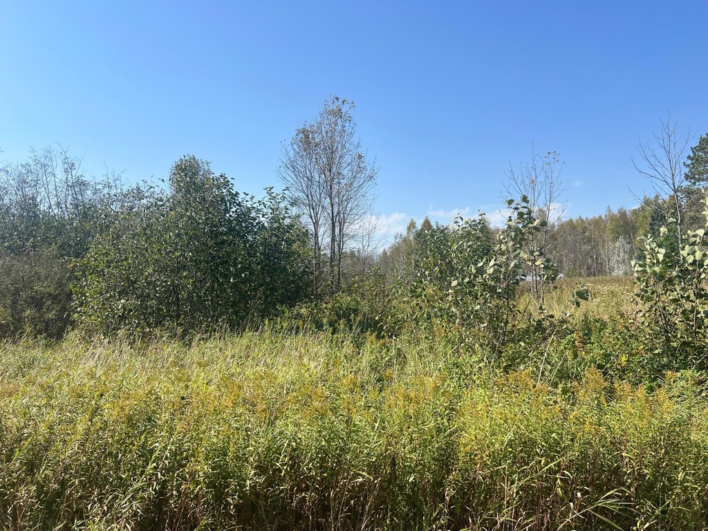 Picture 28