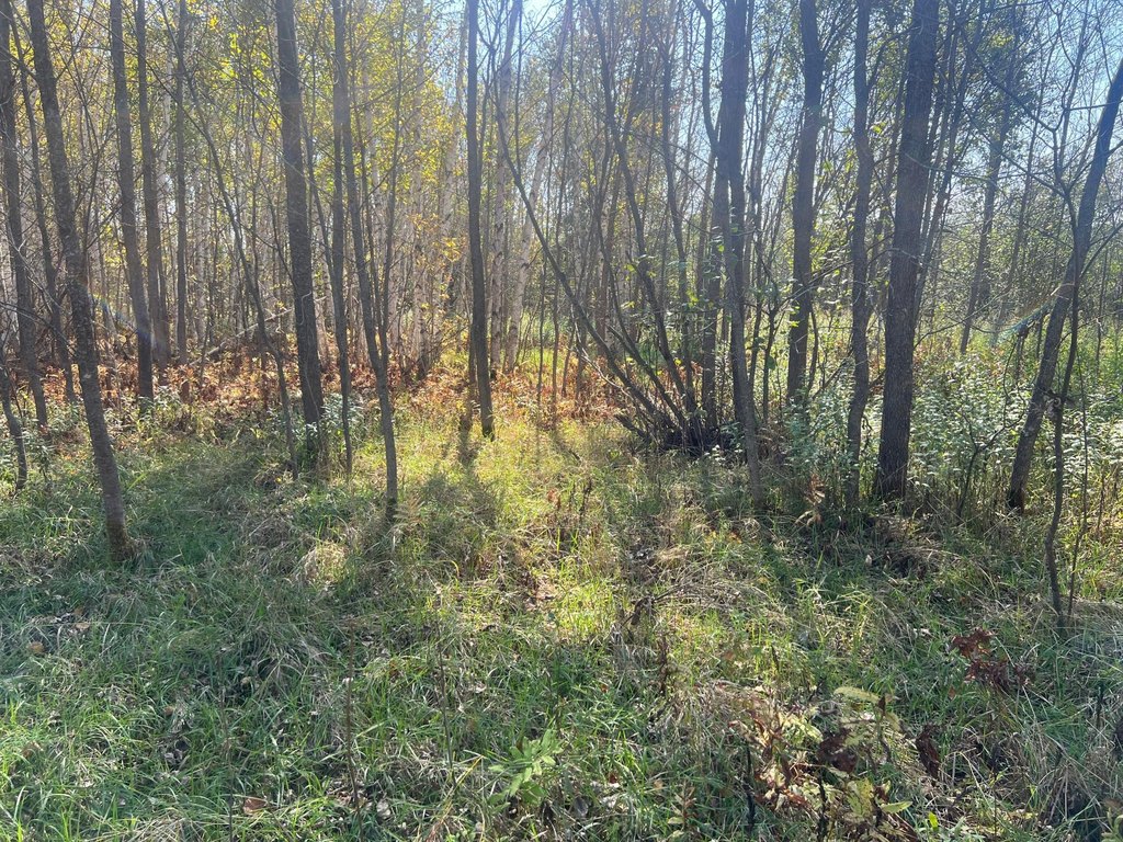 Picture 13