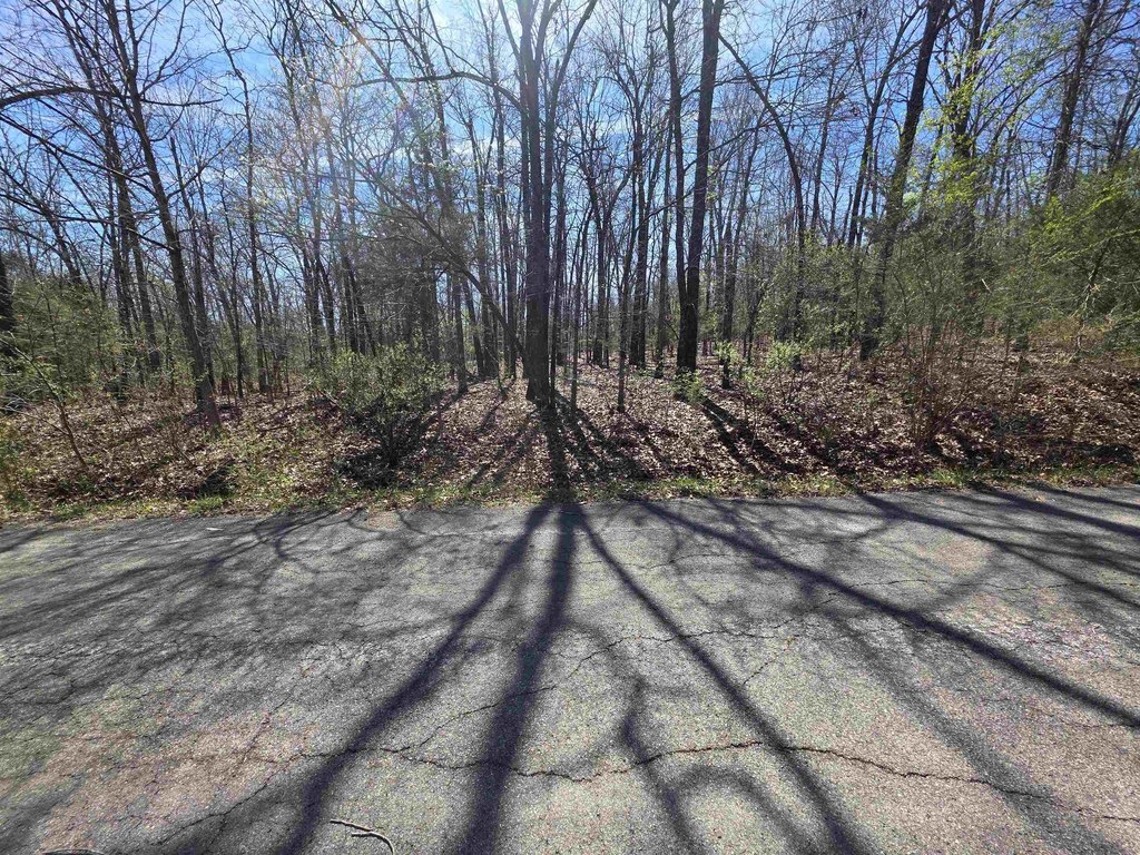 Picture 7