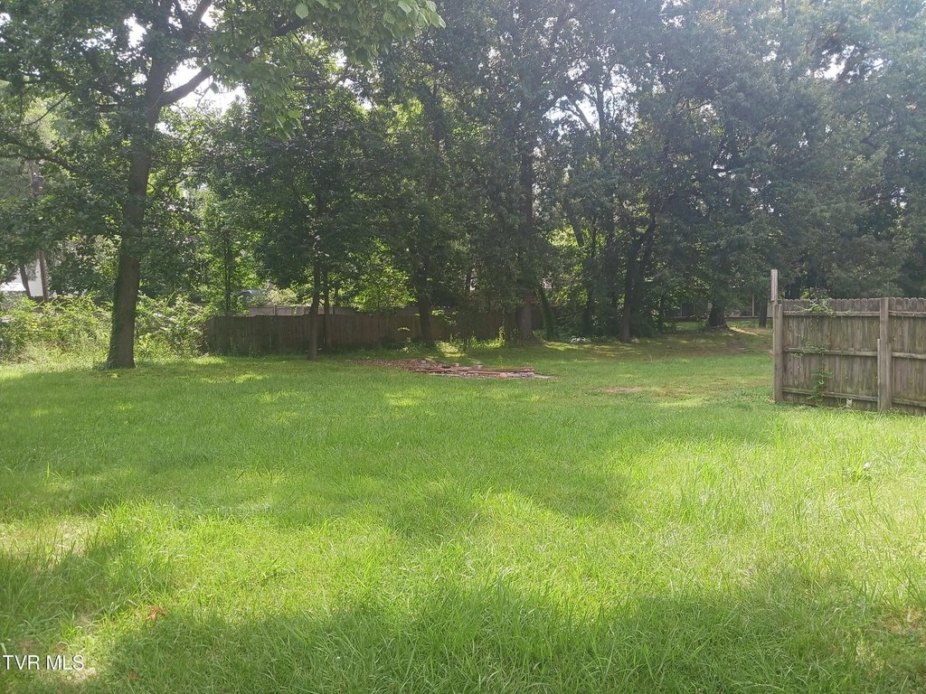 Picture 11
