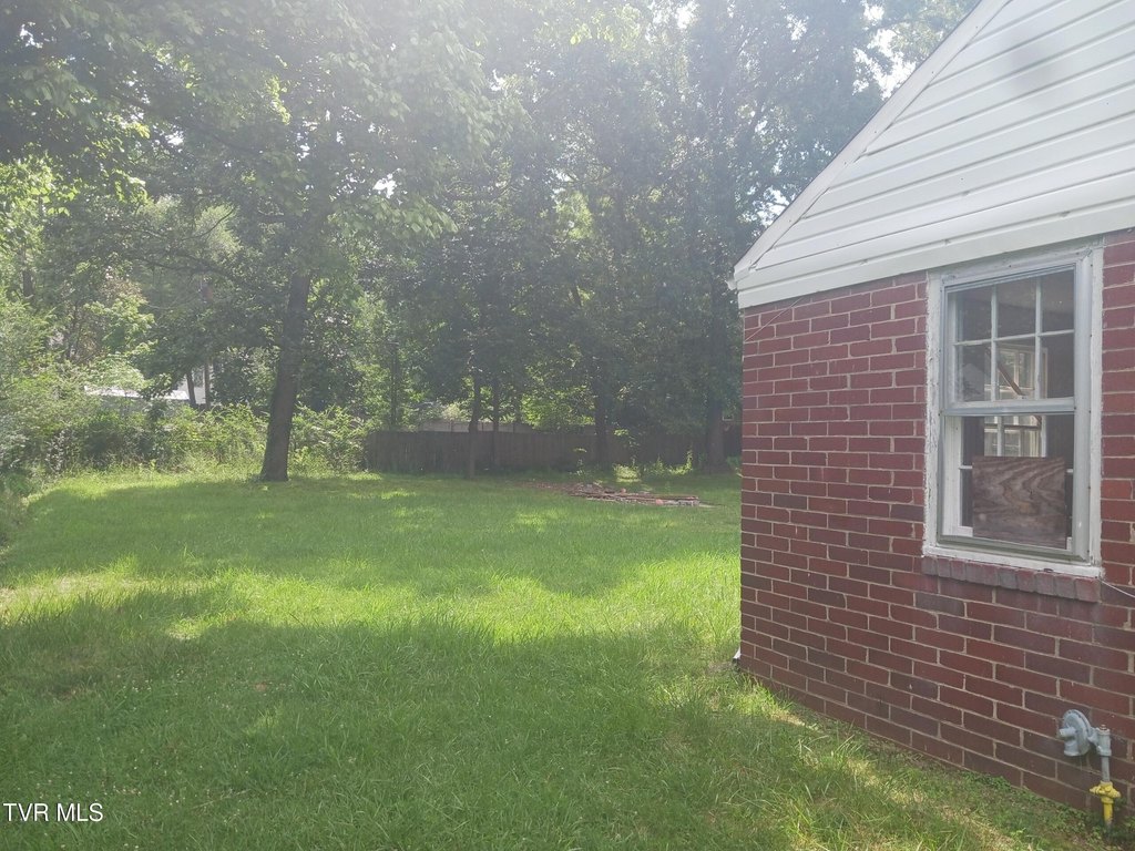 Picture 12