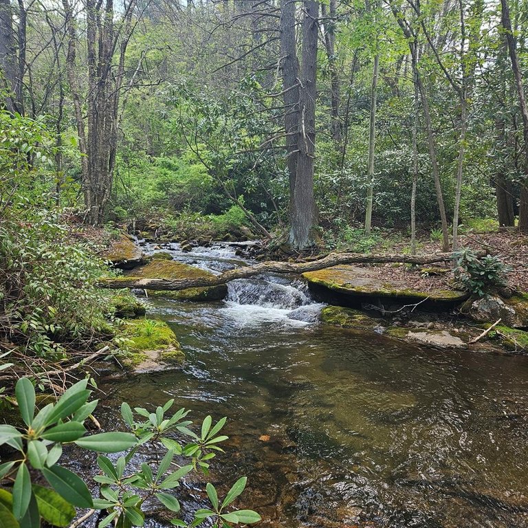 Picture 29