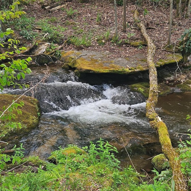 Picture 8