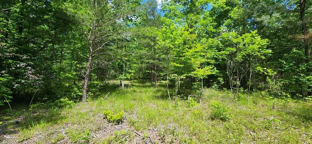 Picture 9