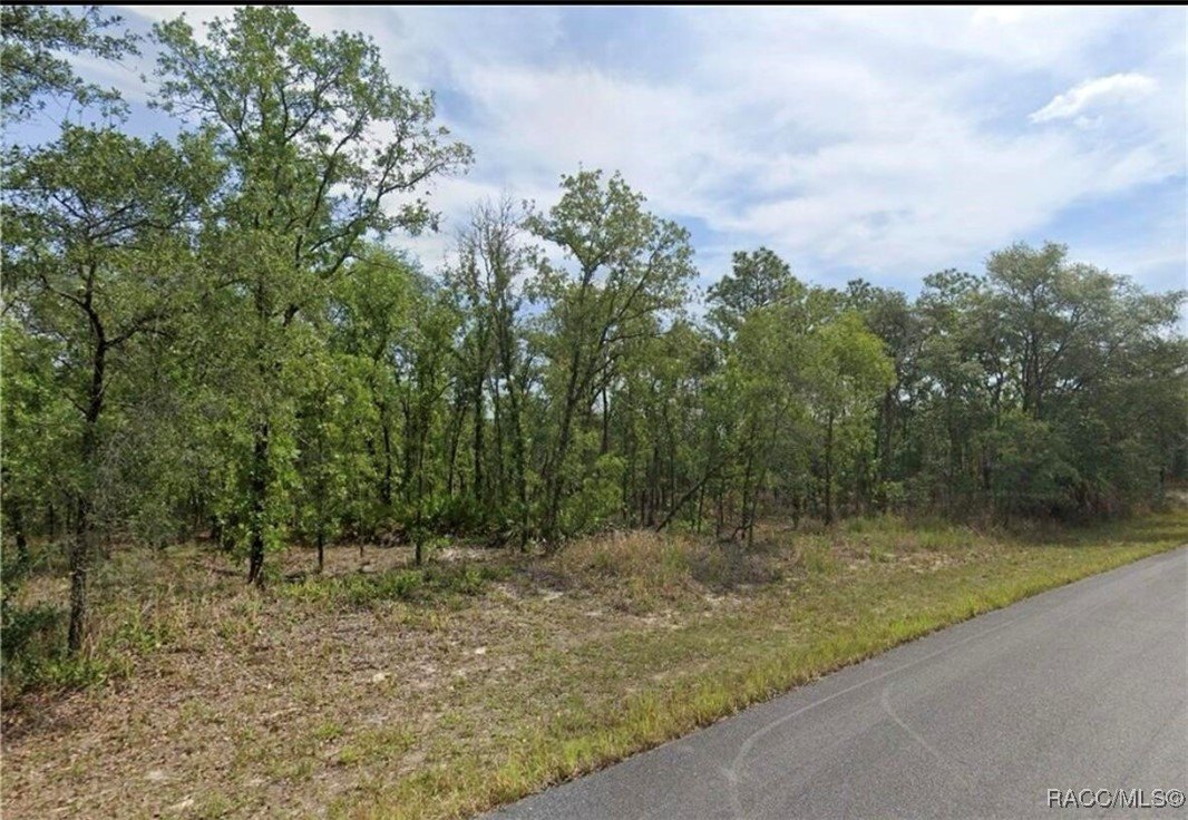 Citrus Springs Land Parcel