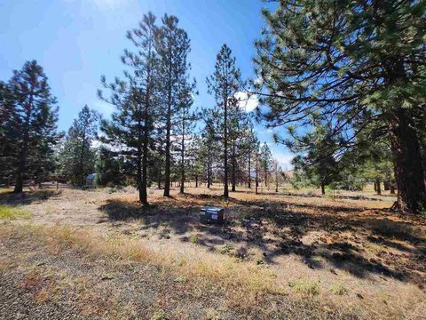 Lake Shastina Build Opportunity