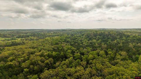 LAND, Elizabeth, AR