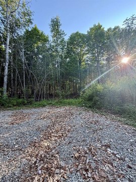 41.8 Acres in Otis, Maine