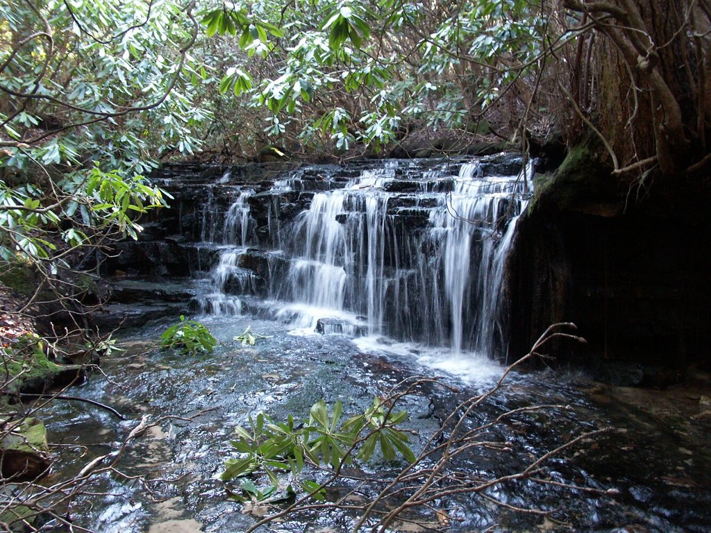 Picture 5