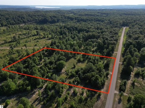 Vacant Lot/Land, Maple City, MI