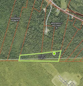 Wooded Hunting Land Getaway Parcel