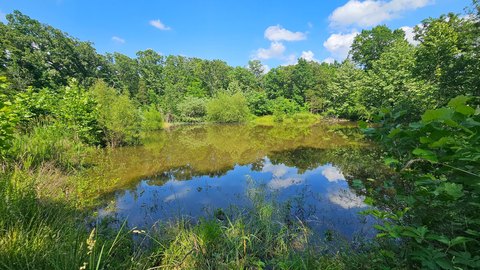 Ozark County Land with Utilities