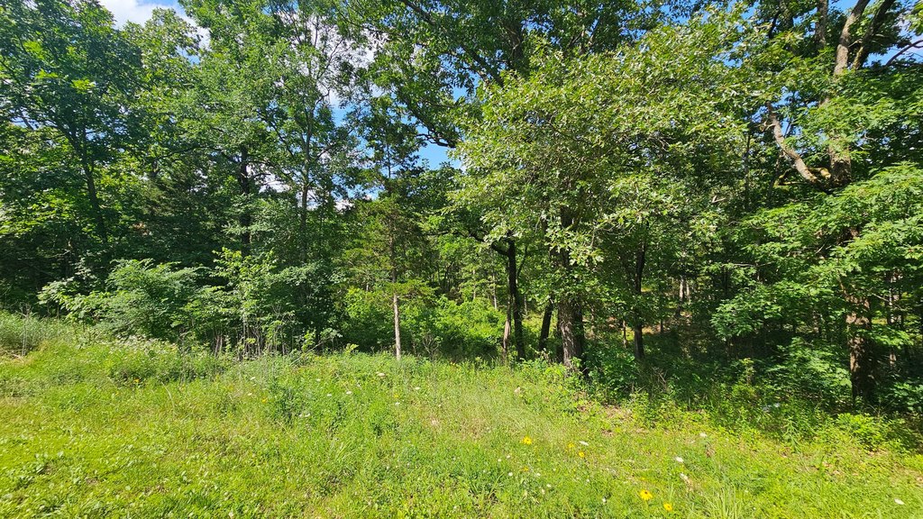 Picture 15