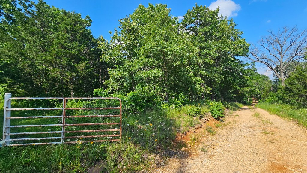 Picture 23