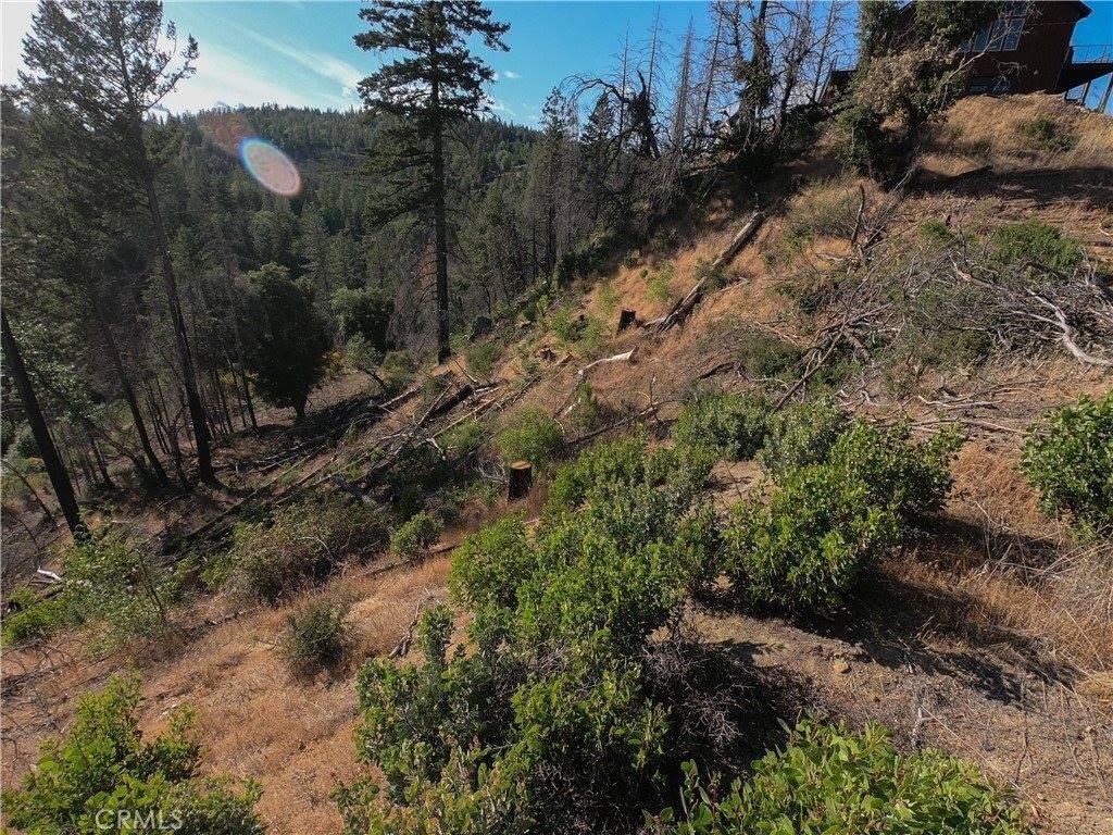 Picture 19