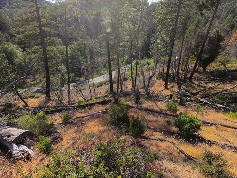 LAND - Cobb, CA