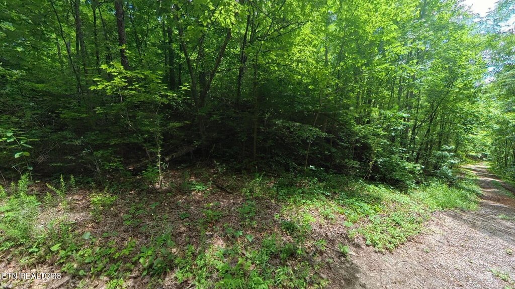 Picture 5