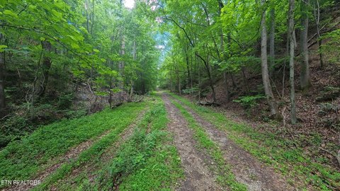 Harriman TN Land Opportunity