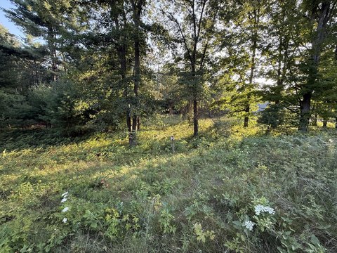 Land, Big Rapids, MI