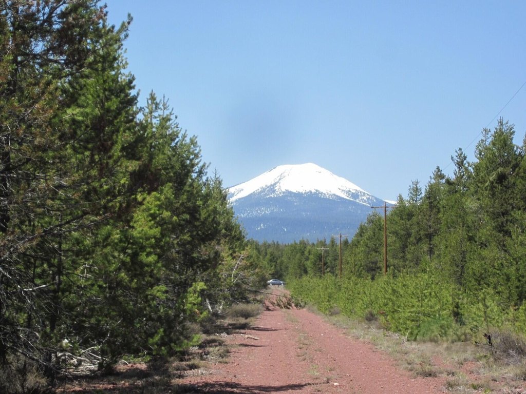 Picture 7