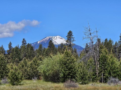 Level Lot in Mt. Scott Meadows