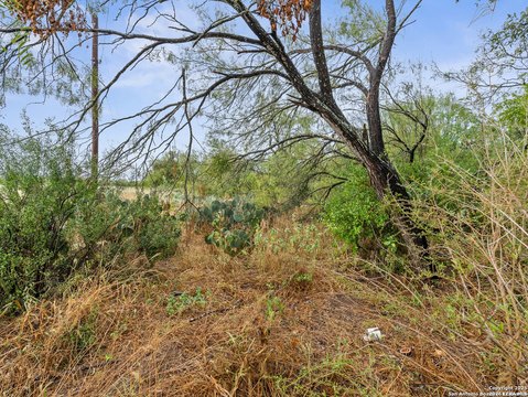 LAND - Von Ormy, TX