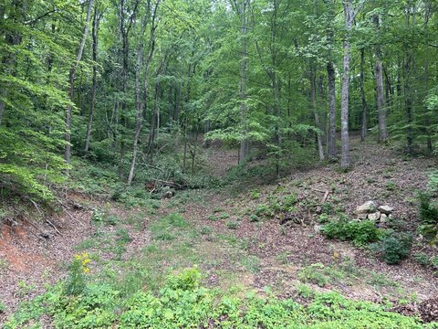 11 Acres of Land in Cleveland