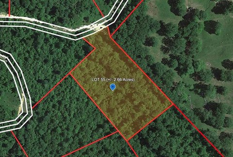 Wooded Land in Bragg, WV