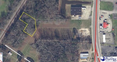 Wooded Lots in Latta, SC