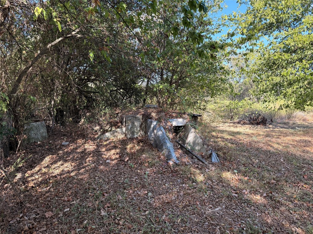 Picture 14
