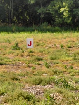 LAND - Jackson, MI