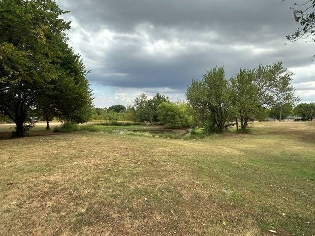 Picture 18