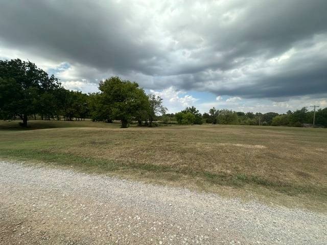 Picture 19