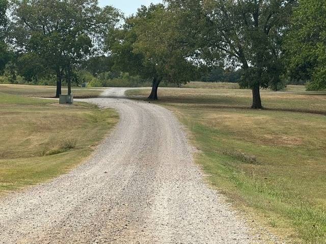 Picture 20