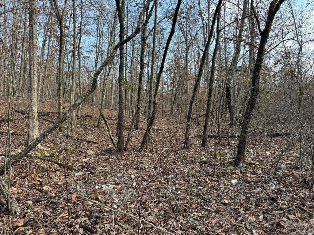 Picture 12