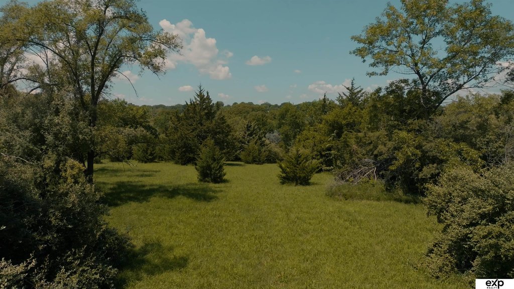 Picture 14