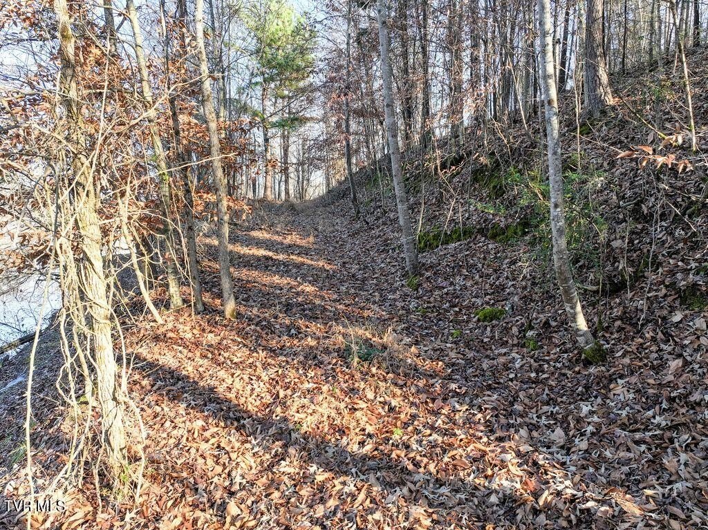Picture 17