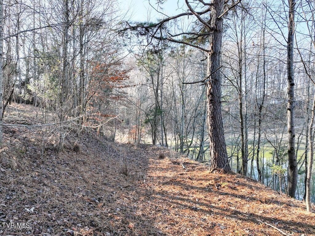 Picture 25